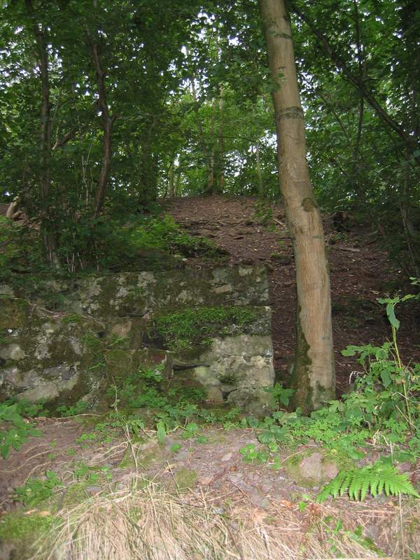 naechstes